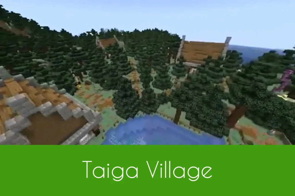 Taiga Village