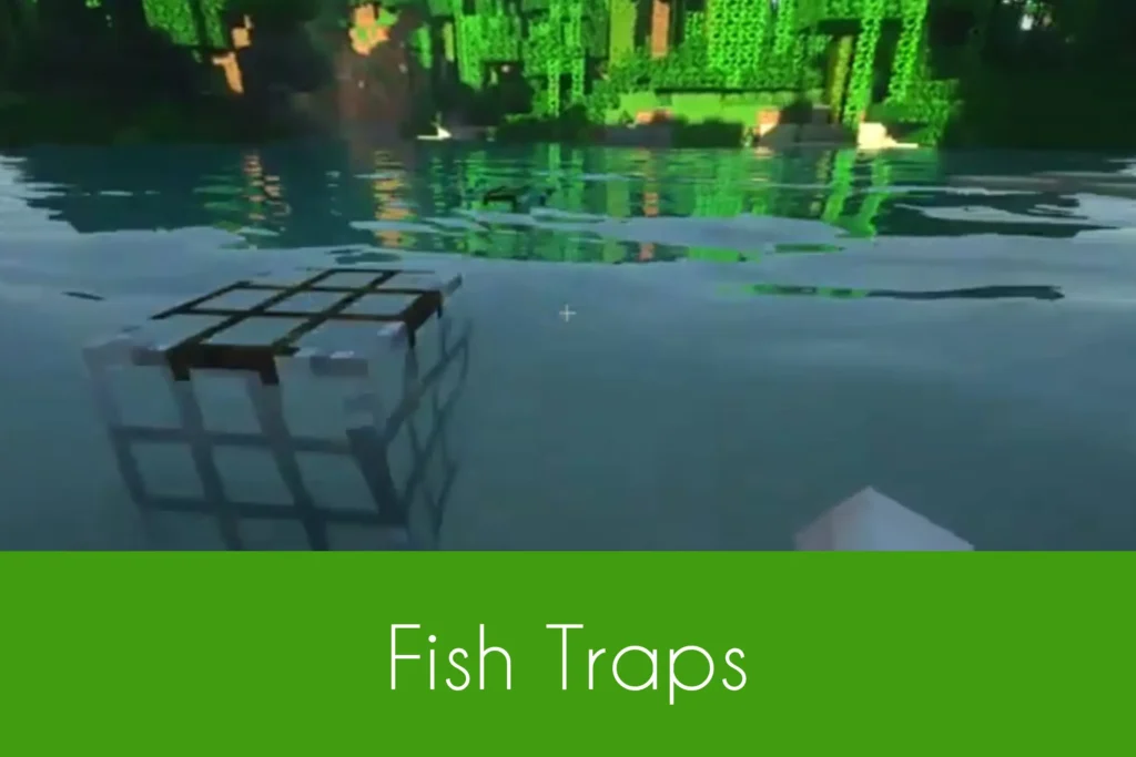 Fish Traps