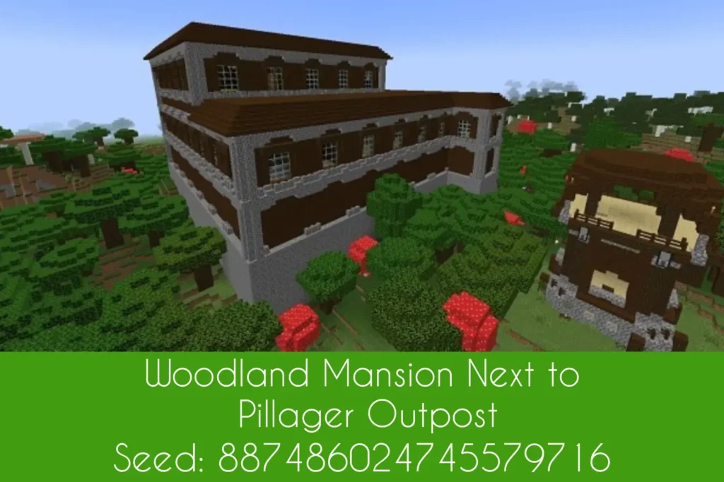 Woodland Mansion Next to Pillager Outpost