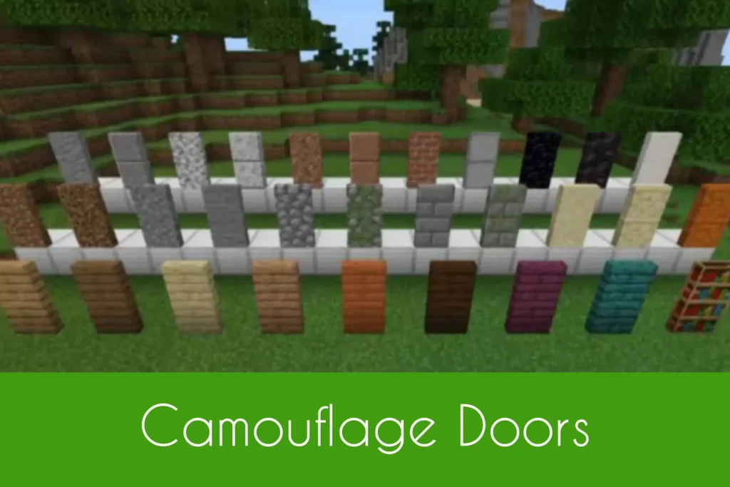 Camouflage Doors