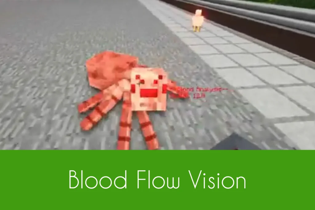 Blood Flow Vision