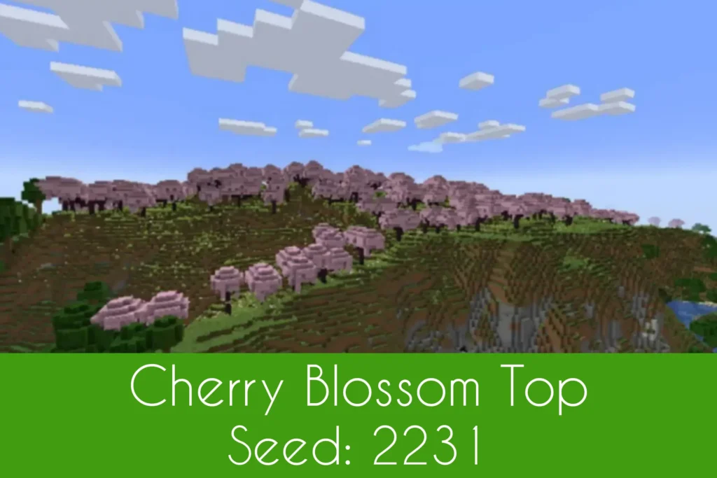 Cherry Blossom Top