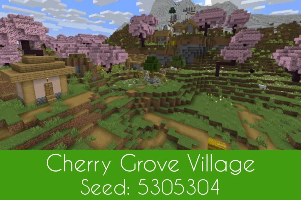 Cherry Grove Minecraft Village