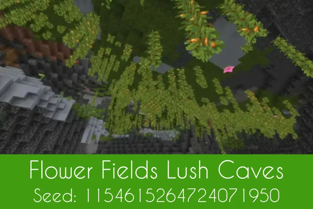 5 Best Minecraft Lush Cave Seeds For Java and Bedrock Edition