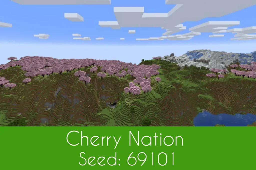 Cherry Nation