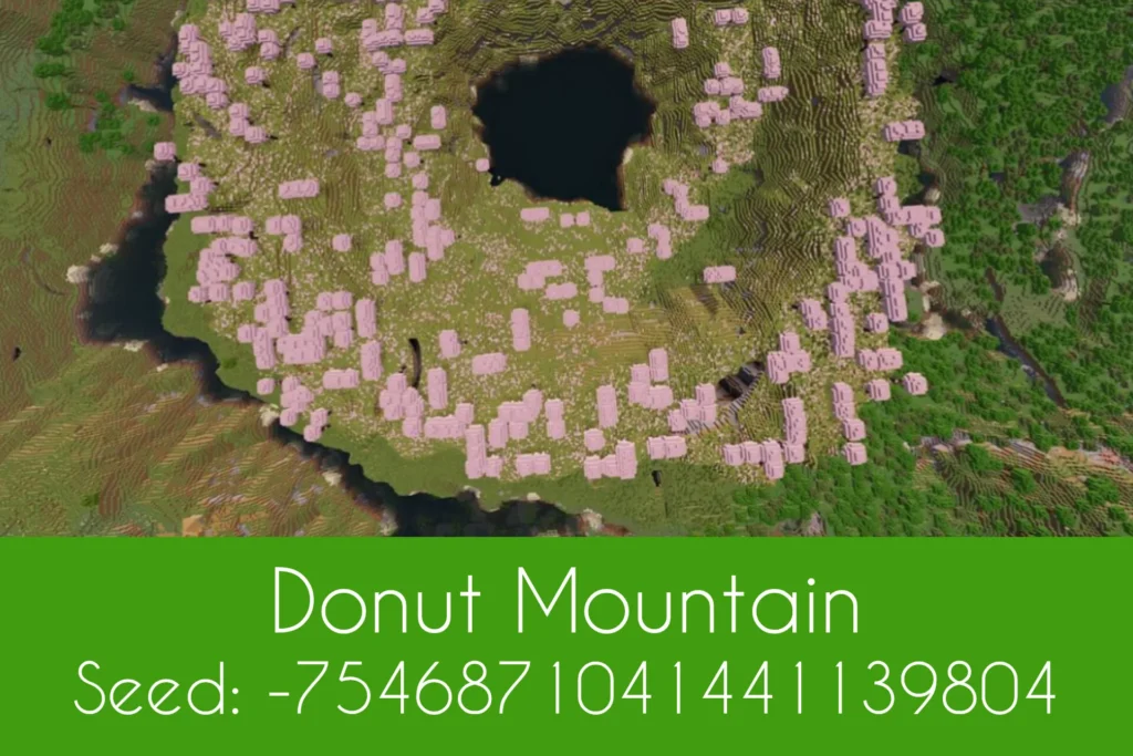 Donut Mountain 