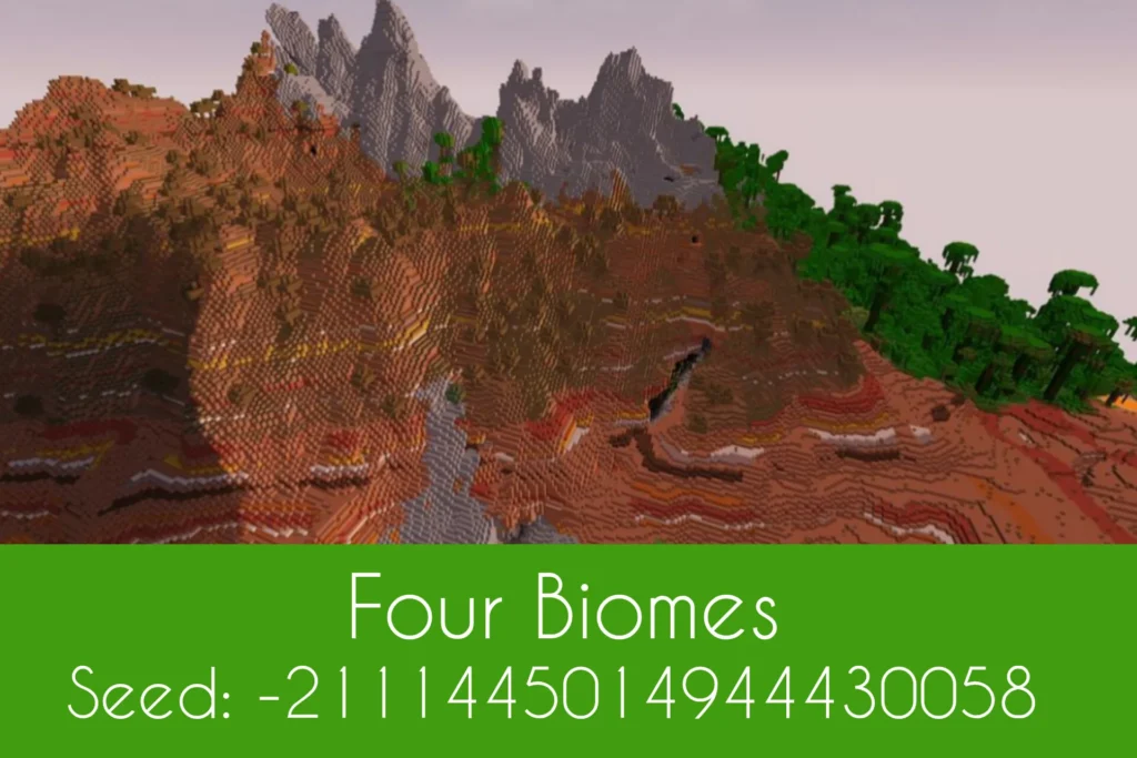 Four Biomes