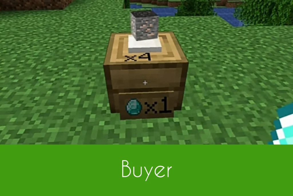 Buying from Shops as a Buyer