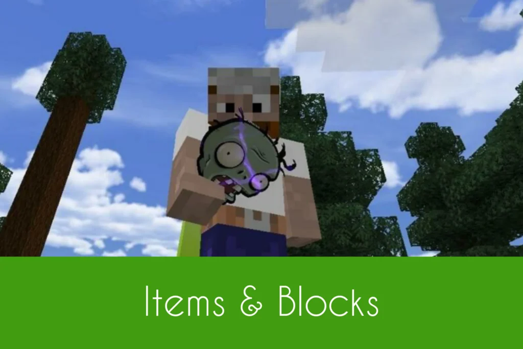 Items & Blocks