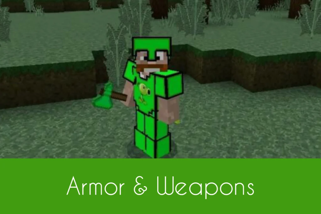 Armor & Weapons