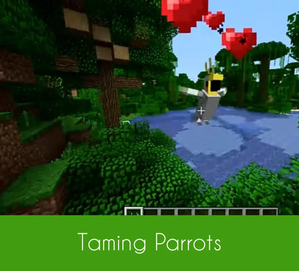 parrots