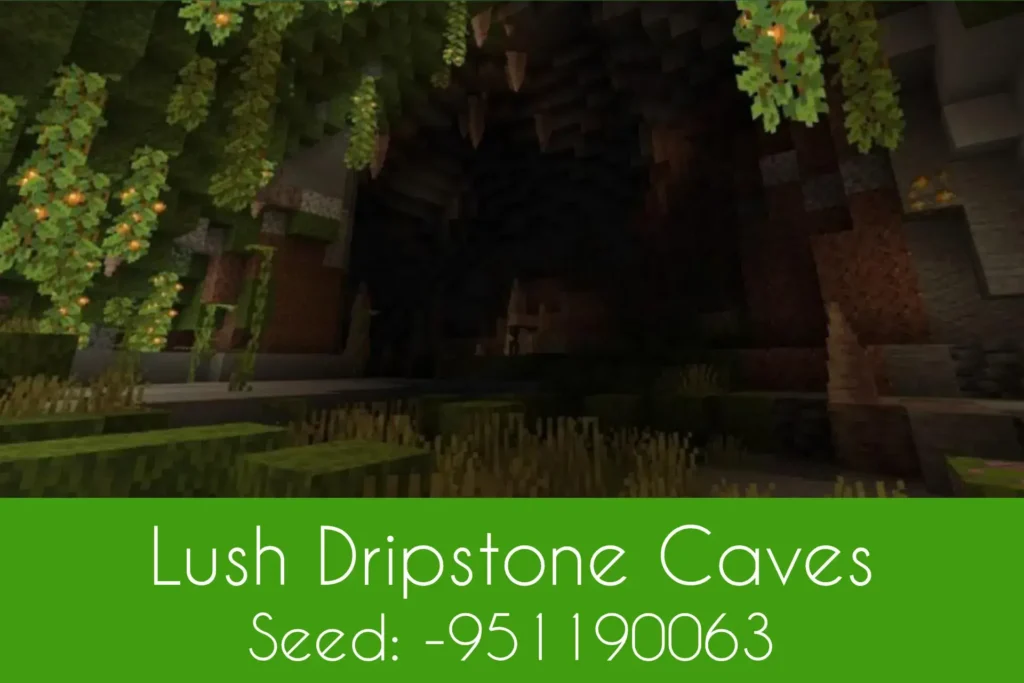 Lush Dripstone Caves