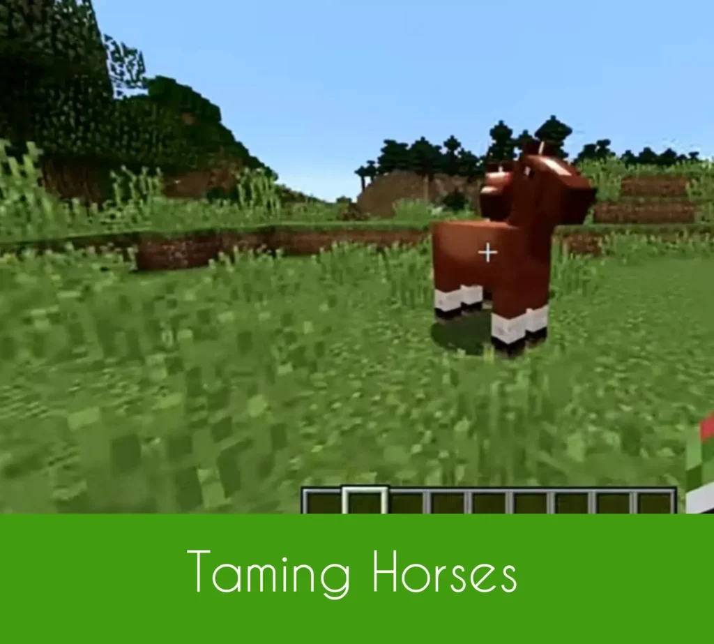 Taming Horses