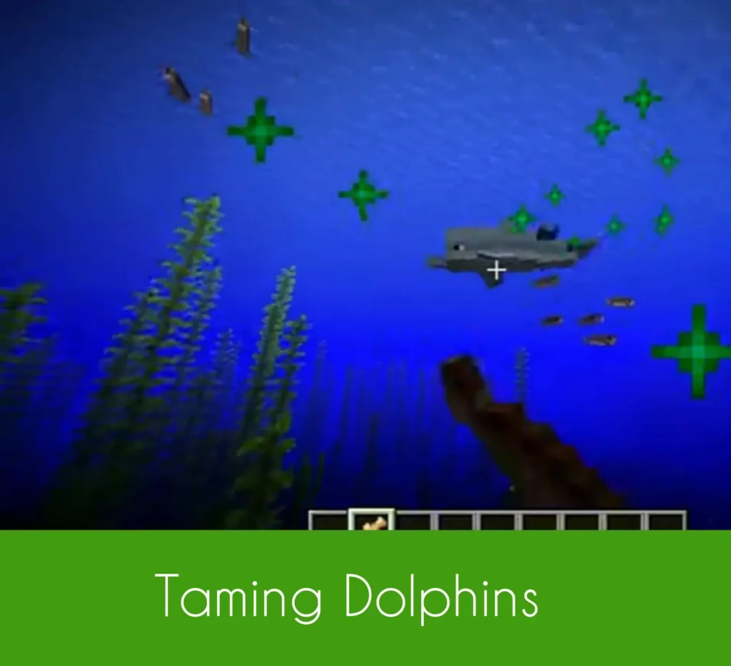 Taming Dolphins