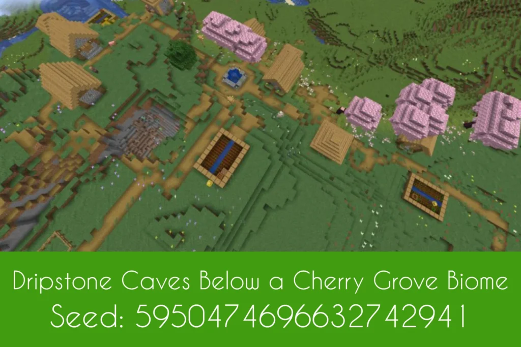 Dripstone Caves Below a Cherry Grove Biome