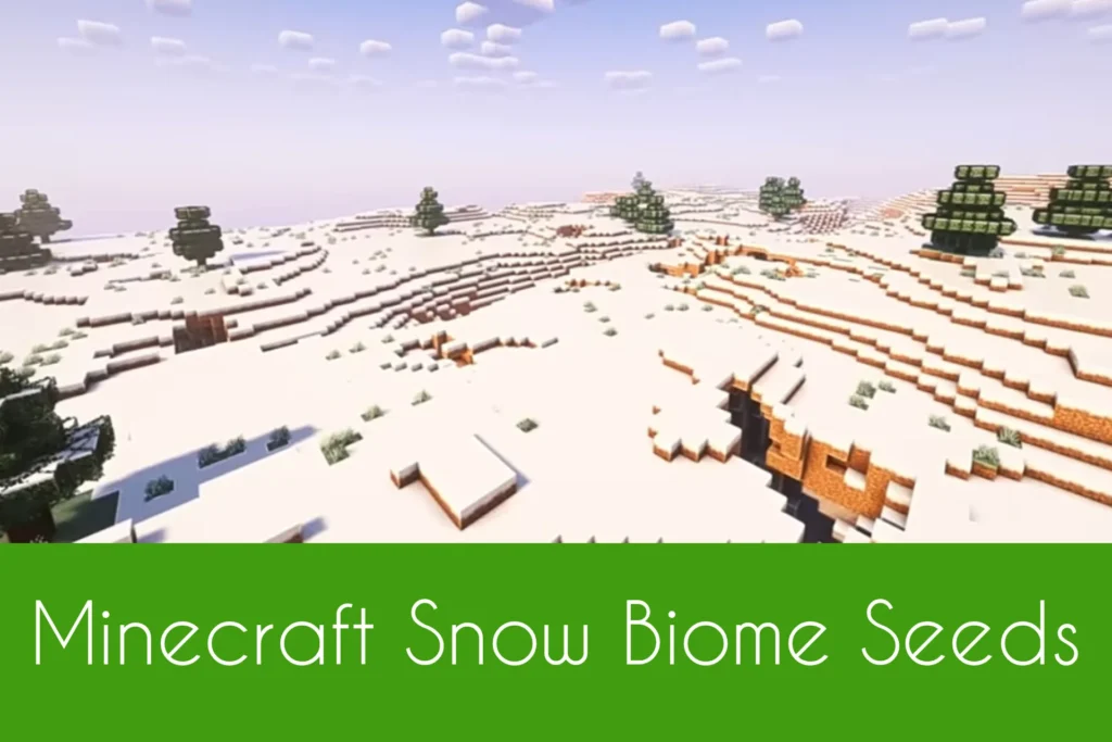 Minecraft Snow Biome Seeds