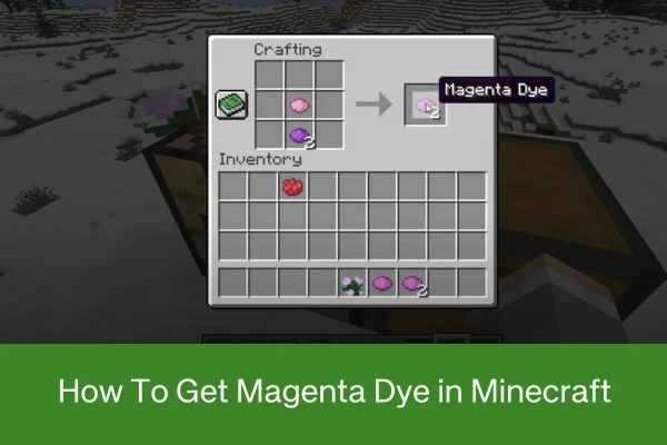 How to Get Magenta Dye in Minecraft