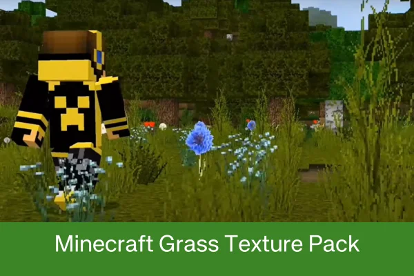 Minecraft Grass Texture Pack