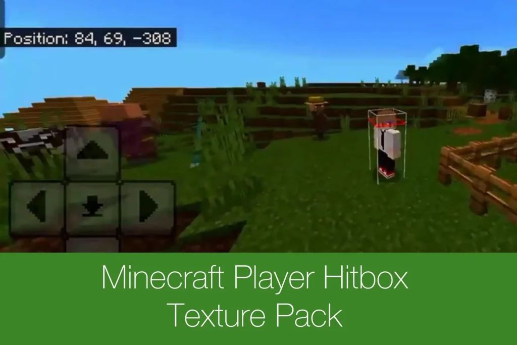Minecraft Player Hitbox Texture Pack